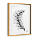 HELICONIA 1 - Gina Villalobos | Cuadro decorativo de Canvas Lab