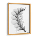 HELICONIA 1 - Gina Villalobos | Cuadro decorativo de Canvas Lab