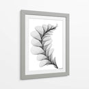 HELICONIA 1 - Gina Villalobos | Cuadro decorativo de Canvas Lab