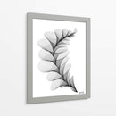 HELICONIA 1 - Gina Villalobos | Cuadro decorativo de Canvas Lab