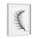 HELICONIA 1 - Gina Villalobos | Cuadro decorativo de Canvas Lab