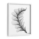 HELICONIA 1 - Gina Villalobos | Cuadro decorativo de Canvas Lab