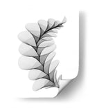 HELICONIA 1 - Gina Villalobos | Cuadro decorativo de Canvas Lab