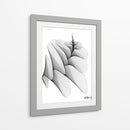 HELICONIA 2 - Gina Villalobos | Cuadro decorativo de Canvas Lab