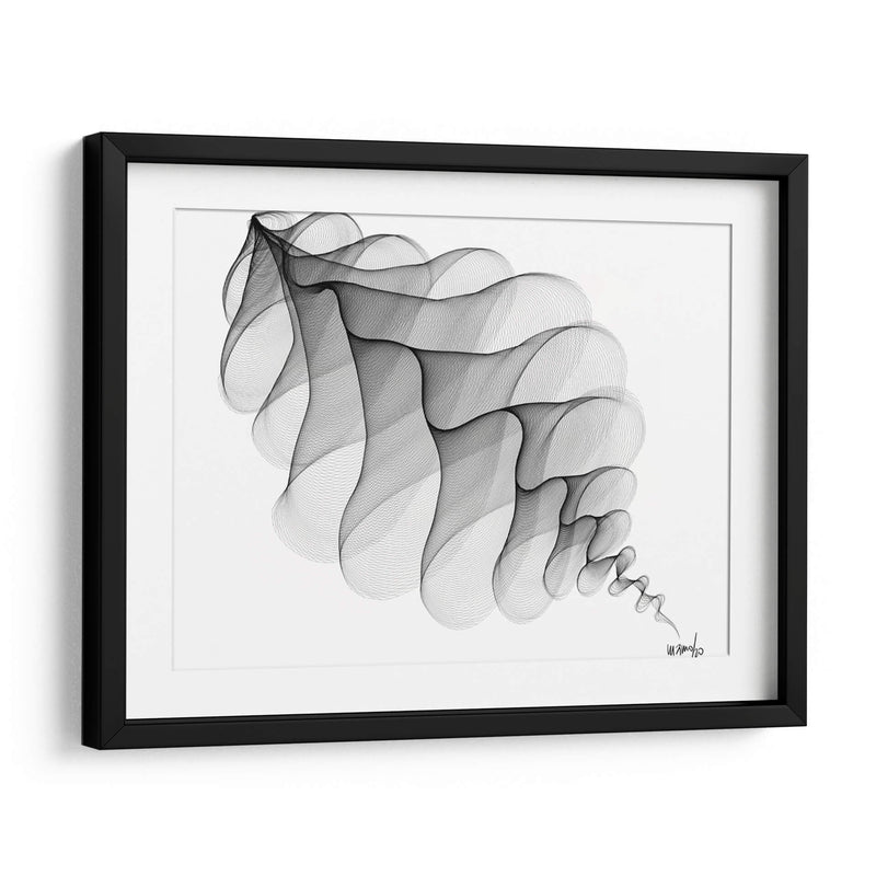 HELICONIA 3 - Gina Villalobos | Cuadro decorativo de Canvas Lab