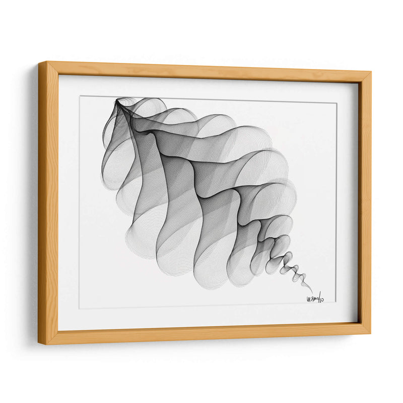 HELICONIA 3 - Gina Villalobos | Cuadro decorativo de Canvas Lab