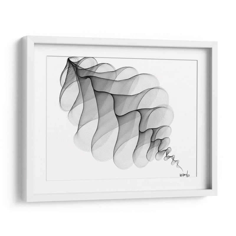 HELICONIA 3 - Gina Villalobos | Cuadro decorativo de Canvas Lab