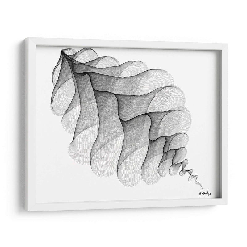 HELICONIA 3 - Gina Villalobos | Cuadro decorativo de Canvas Lab