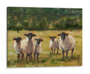 Familia De Ovejas I - Ethan Harper | Cuadro decorativo de Canvas Lab