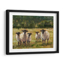 Familia De Ovejas I - Ethan Harper | Cuadro decorativo de Canvas Lab