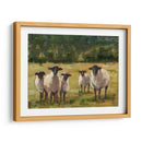 Familia De Ovejas I - Ethan Harper | Cuadro decorativo de Canvas Lab