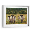 Familia De Ovejas I - Ethan Harper | Cuadro decorativo de Canvas Lab