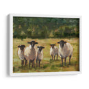 Familia De Ovejas I - Ethan Harper | Cuadro decorativo de Canvas Lab