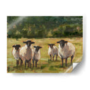 Familia De Ovejas I - Ethan Harper | Cuadro decorativo de Canvas Lab