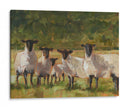 Familia De Oveja Ii - Ethan Harper | Cuadro decorativo de Canvas Lab