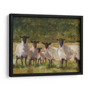 Familia De Oveja Ii - Ethan Harper | Cuadro decorativo de Canvas Lab