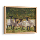 Familia De Oveja Ii - Ethan Harper | Cuadro decorativo de Canvas Lab