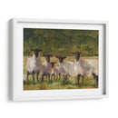 Familia De Oveja Ii - Ethan Harper | Cuadro decorativo de Canvas Lab