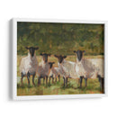 Familia De Oveja Ii - Ethan Harper | Cuadro decorativo de Canvas Lab