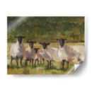 Familia De Oveja Ii - Ethan Harper | Cuadro decorativo de Canvas Lab