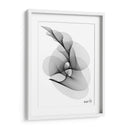 HELICONIA 4 - Gina Villalobos | Cuadro decorativo de Canvas Lab