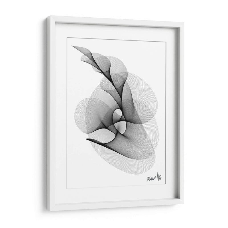 HELICONIA 4 - Gina Villalobos | Cuadro decorativo de Canvas Lab