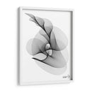 HELICONIA 4 - Gina Villalobos | Cuadro decorativo de Canvas Lab