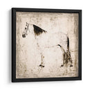 Caballo Blanco Ii - Irena Orlov | Cuadro decorativo de Canvas Lab