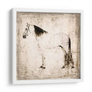 Caballo Blanco Ii - Irena Orlov | Cuadro decorativo de Canvas Lab