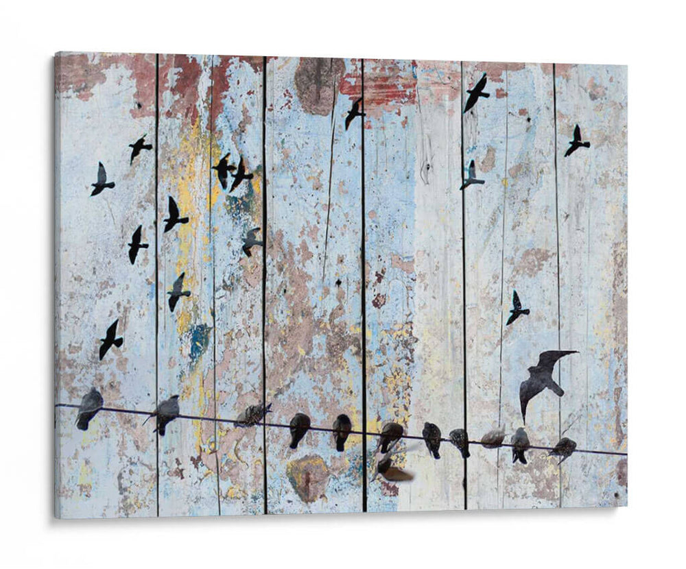 Pájaros En Madera Iii - Irena Orlov | Cuadro decorativo de Canvas Lab