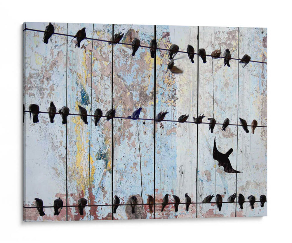 Pájaros En Madera Iv - Irena Orlov | Cuadro decorativo de Canvas Lab