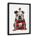 Bulldog Inglés, Bufanda Y Robin - Fab Funky | Cuadro decorativo de Canvas Lab