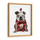 Bulldog Inglés, Bufanda Y Robin - Fab Funky | Cuadro decorativo de Canvas Lab