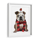 Bulldog Inglés, Bufanda Y Robin - Fab Funky | Cuadro decorativo de Canvas Lab
