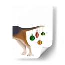 Gorrón - Fab Funky | Cuadro decorativo de Canvas Lab