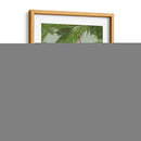 Gatito Gris En La Media De Navidad - Fab Funky | Cuadro decorativo de Canvas Lab