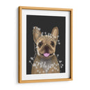 Bulldog Francés, Luces De Navidad 2 - Fab Funky | Cuadro decorativo de Canvas Lab