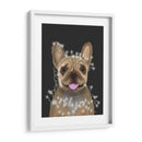 Bulldog Francés, Luces De Navidad 2 - Fab Funky | Cuadro decorativo de Canvas Lab