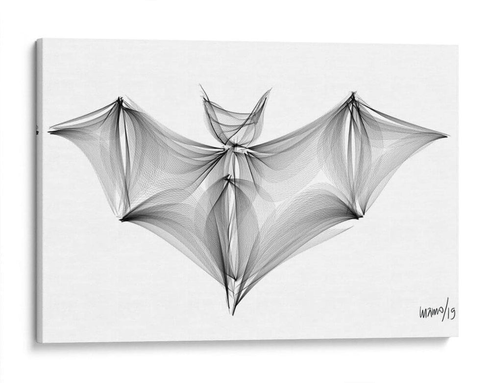 MURCIÉLAGO - Gina Villalobos | Cuadro decorativo de Canvas Lab