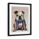 Bulldog Inglés Con Bufanda - Fab Funky | Cuadro decorativo de Canvas Lab