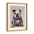 Bulldog Inglés Con Bufanda - Fab Funky | Cuadro decorativo de Canvas Lab