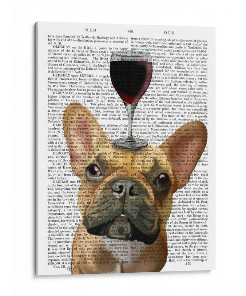 Perro Au Vin, Bulldog Francés - Fab Funky | Cuadro decorativo de Canvas Lab