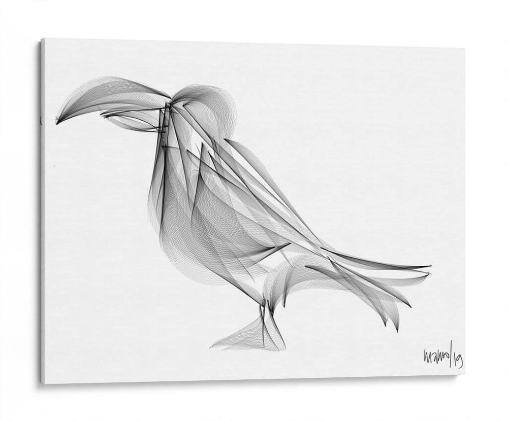 PÁJARO - Gina Villalobos | Cuadro decorativo de Canvas Lab