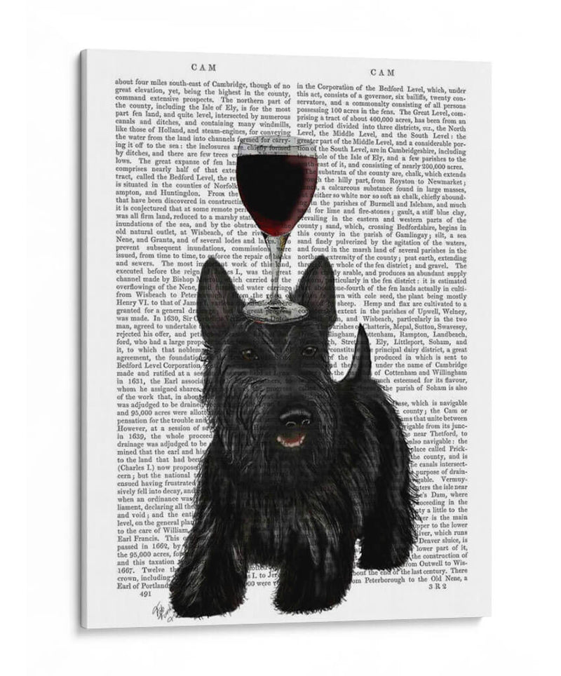 Perro Au Vin, Escocés Terrier - Fab Funky | Cuadro decorativo de Canvas Lab