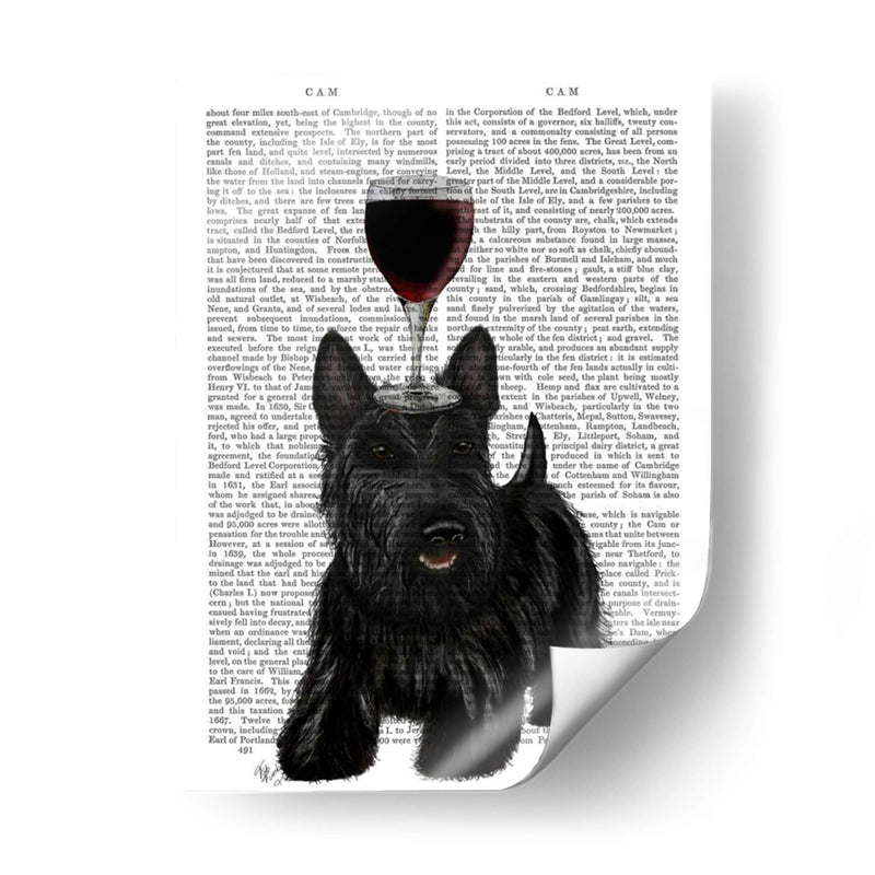 Perro Au Vin, Escocés Terrier - Fab Funky | Cuadro decorativo de Canvas Lab