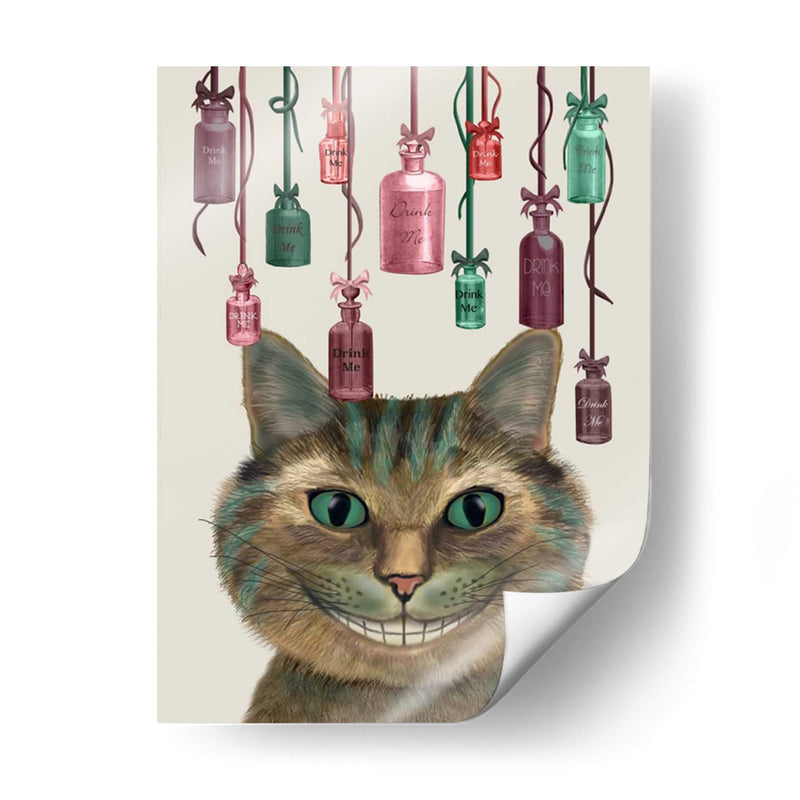 Cheshire Gato Y Botellas - Fab Funky | Cuadro decorativo de Canvas Lab