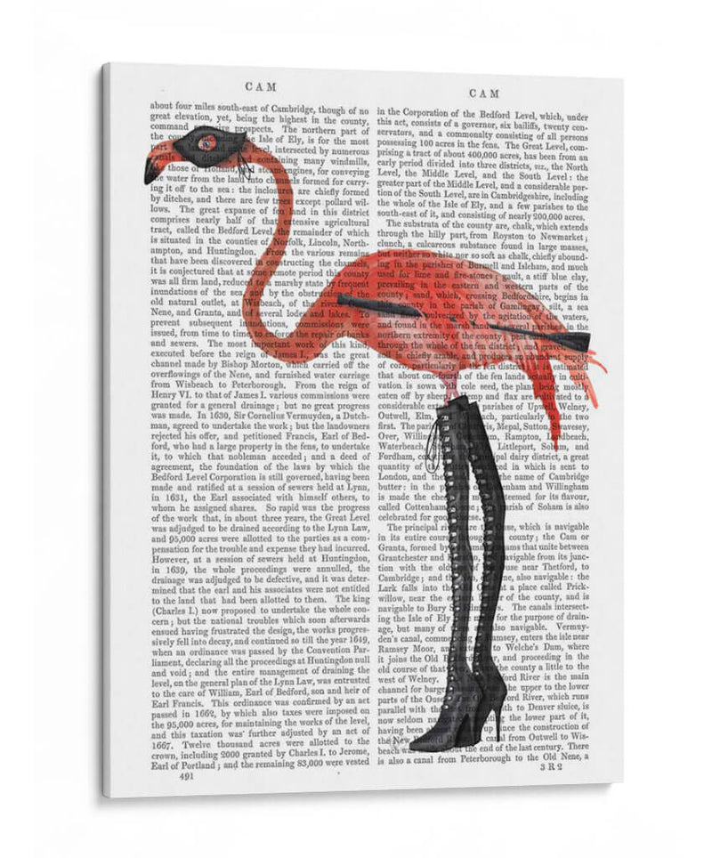 Flamenco Con Botas Pervertidas - Fab Funky | Cuadro decorativo de Canvas Lab