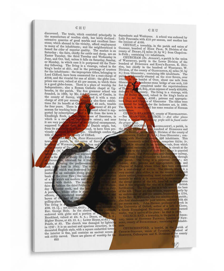 Boxeador Y Cardenales Rojos - Fab Funky | Cuadro decorativo de Canvas Lab