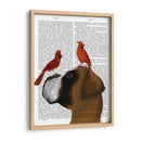 Boxeador Y Cardenales Rojos - Fab Funky | Cuadro decorativo de Canvas Lab