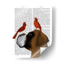 Boxeador Y Cardenales Rojos - Fab Funky | Cuadro decorativo de Canvas Lab